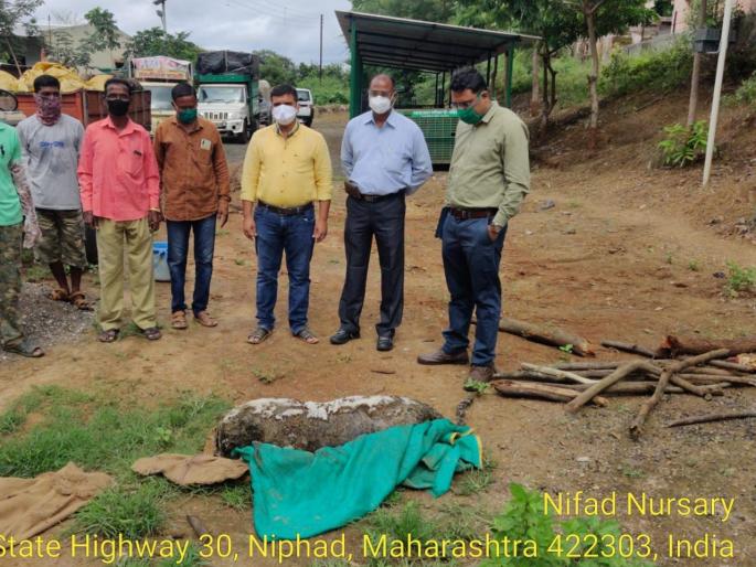 The body of a Bibat female was found in Chittagong Shivara | चितेगाव शिवारात बिबट मादीचा मृतदेह आढळला The body of a Bibat female was found in Chittagong Shivara | चितेगाव शिवारात बिबट मादीचा मृतदेह आढळला