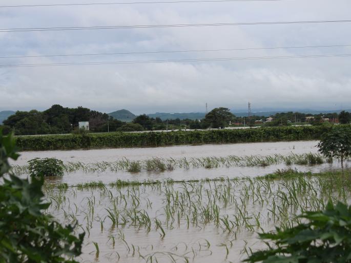 Chandori-Saikheda bridge closed for transportation | चांदोरी-सायखेडा पूल वाहतुकीसाठी बंद Chandori-Saikheda bridge closed for transportation | चांदोरी-सायखेडा पूल वाहतुकीसाठी बंद