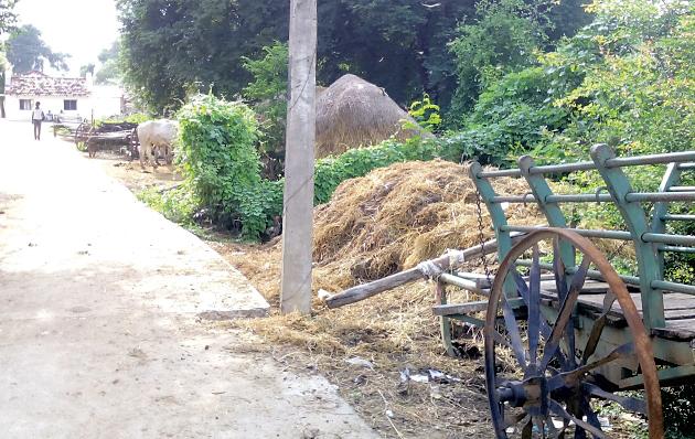 The climax of indigestion in Kosambi village | कोसंबी गावात अस्वच्छतेचा कळस The climax of indigestion in Kosambi village | कोसंबी गावात अस्वच्छतेचा कळस