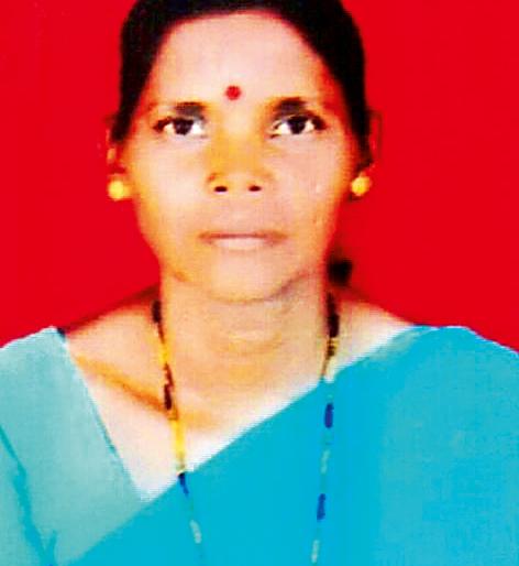 Guidelines for Guardianship | पालकमंत्र्याचे चौकशीचे निर्देश