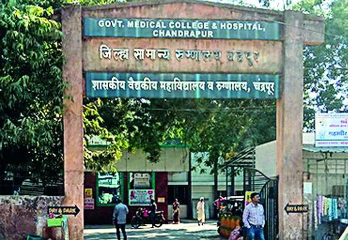 Climate change exacerbates mate illness | वातावरणातील बदलामुळे साथीच्या आजारांत वाढ Climate change exacerbates mate illness | वातावरणातील बदलामुळे साथीच्या आजारांत वाढ