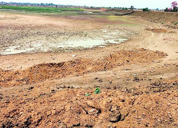 Average water in ponds is 26% | तलावांमध्ये सरासरी २६% पाणी