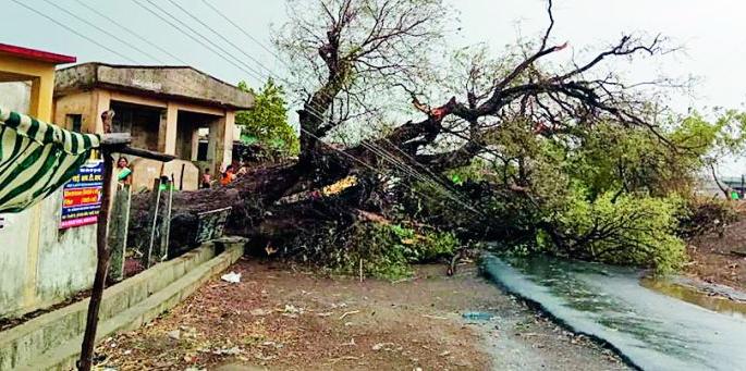 The storm hits the district | जिल्ह्याला वादळी पावसाचा तडाखा The storm hits the district | जिल्ह्याला वादळी पावसाचा तडाखा