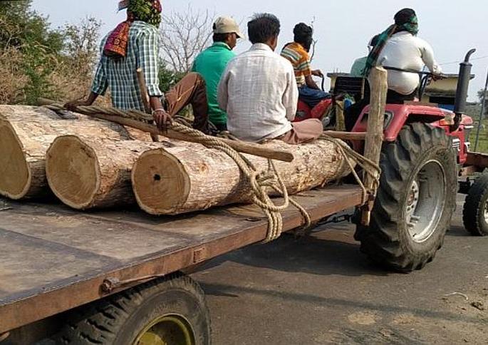 Eight tractors of teak wood material seized in Gadchiroli district | गडचिरोली जिल्ह्यात आठ ट्रॅक्टर सागवानाचे साहित्य जप्त Eight tractors of teak wood material seized in Gadchiroli district | गडचिरोली जिल्ह्यात आठ ट्रॅक्टर सागवानाचे साहित्य जप्त