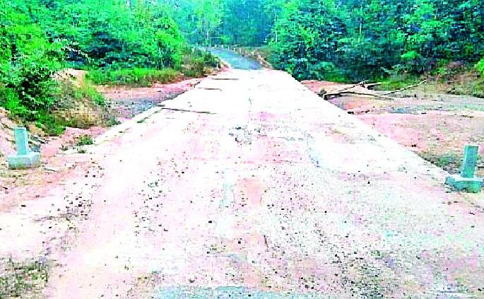 The Chamorshi-Harnighat road is in distraction | चामोर्शी-हरणघाट मार्ग दुरवस्थेत