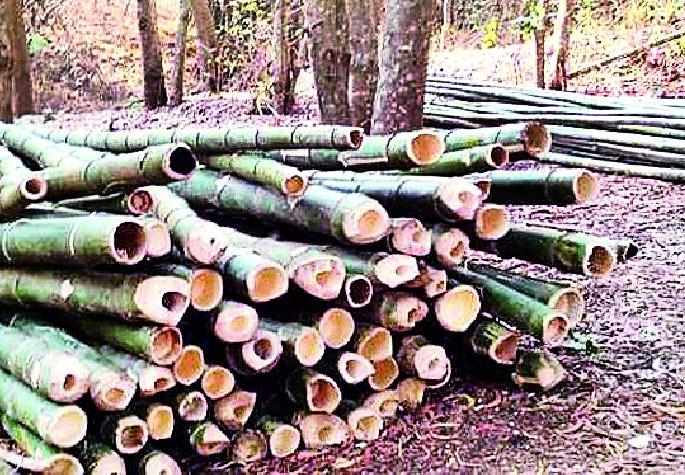 Public opinion review of public interest | Lok Sabha Election 2019; गडचिरोलीत उद्योगाला चालना केव्हा?