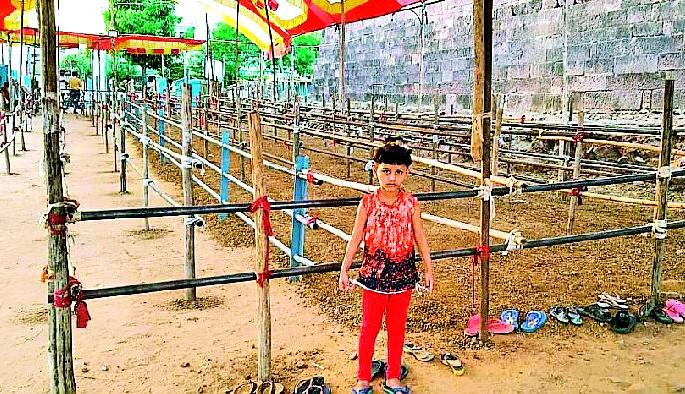 From today, the devotees of Lord Shiva worshiped the devotees | मार्कंडात आजपासून शिवभक्तांची मांदियाळी From today, the devotees of Lord Shiva worshiped the devotees | मार्कंडात आजपासून शिवभक्तांची मांदियाळी