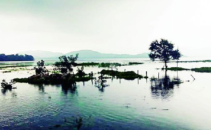The risk of poisoning due to excessive beads in the lake | तलावातील अतिक्र मणांमुळे विषबाधेचा धोका The risk of poisoning due to excessive beads in the lake | तलावातील अतिक्र मणांमुळे विषबाधेचा धोका