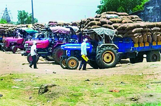 Finally open the way to buy grain | अखेर धान खरेदीचा मार्ग मोकळा Finally open the way to buy grain | अखेर धान खरेदीचा मार्ग मोकळा