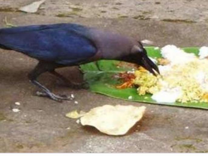 The patriarchy under the coronation | कोरोनाच्या सावटाखाली पितृपक्ष The patriarchy under the coronation | कोरोनाच्या सावटाखाली पितृपक्ष