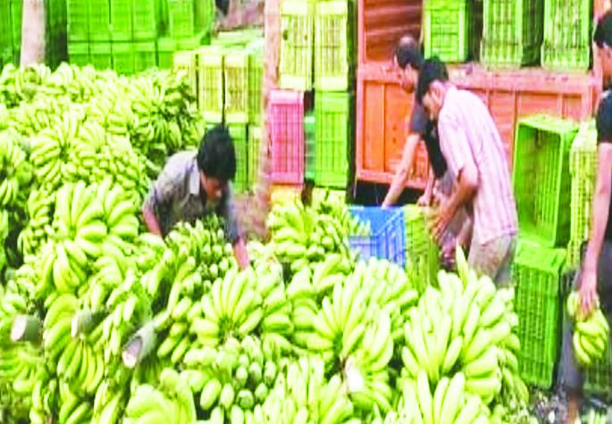 Merchants of Delhi, Uttar Pradesh, Rajasthan, Kashmir in Solapur; Find out exactly why | दिल्ली, उत्तर प्रदेश, राजस्थान, काश्मीरचे व्यापारी सोलापुरात; जाणून घ्या काय आहे नेमकं कारण Merchants of Delhi, Uttar Pradesh, Rajasthan, Kashmir in Solapur; Find out exactly why | दिल्ली, उत्तर प्रदेश, राजस्थान, काश्मीरचे व्यापारी सोलापुरात; जाणून घ्या काय आहे नेमकं कारण