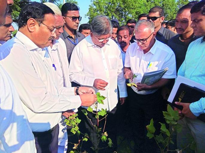 When will the state of Biharis become? | कधी येणार बळीराजाचं राज्य ?