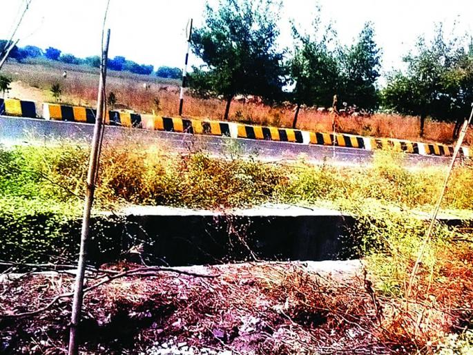 Irregularities in tree plantation along the Shegaon to Balapur highway | शेगाव ते बाळापूर महामार्गावर वृक्ष लागवडीत अनियमितता