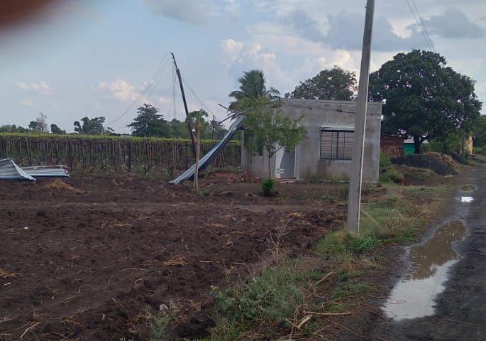 The trees were destroyed by the rain | वादळी पावसाने झाडे जमीनदोस्त The trees were destroyed by the rain | वादळी पावसाने झाडे जमीनदोस्त