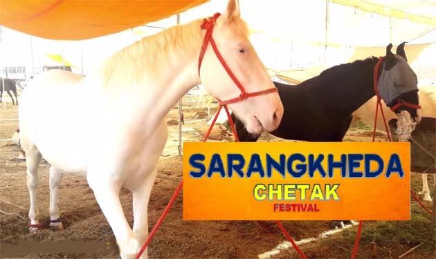 Cancellation of Chetak Festival's question marks the festival | चेतक फेस्टीवलचे करार रद्द केल्याने फेस्टीवलबाबत प्रश्नचिन्ह Cancellation of Chetak Festival's question marks the festival | चेतक फेस्टीवलचे करार रद्द केल्याने फेस्टीवलबाबत प्रश्नचिन्ह