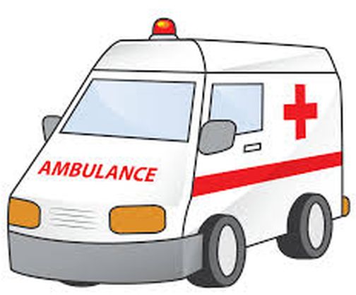 The patient survived due to timely treatment in the vessel | वाहिकेत ऐनवेळी उपचारामुळे वाचले प्राणरुग्ण The patient survived due to timely treatment in the vessel | वाहिकेत ऐनवेळी उपचारामुळे वाचले प्राणरुग्ण