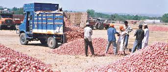 Anxiety due to falling onion prices | कांदा दर घसरणीमुळे चिंता Anxiety due to falling onion prices | कांदा दर घसरणीमुळे चिंता
