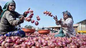 Late purchase of onions from NAFED | नाफेडकडून उशिराने कांदा खरेदी Late purchase of onions from NAFED | नाफेडकडून उशिराने कांदा खरेदी