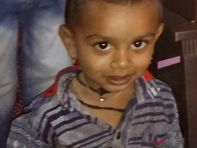 Child death due to leopard attack | बिबट्याच्या हल्ल्यात बालकाचा मृत्यू Child death due to leopard attack | बिबट्याच्या हल्ल्यात बालकाचा मृत्यू