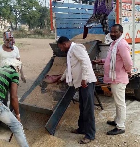 Despite the price, buy sorghum 5% | भाव असूनही ज्वारी खरेदी १३ टक्के