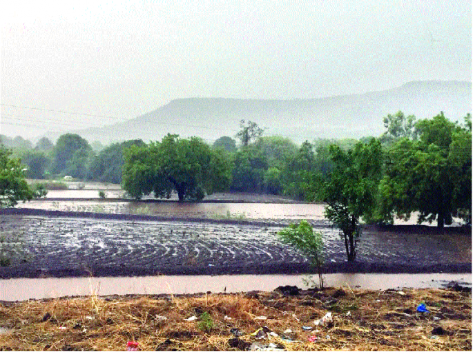 Monsoon bursa with meghargarh in the district | जिल्ह्यात मेघगर्जनेसह मान्सून बरसला Monsoon bursa with meghargarh in the district | जिल्ह्यात मेघगर्जनेसह मान्सून बरसला