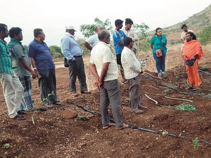 Unique experiment to take 22 crops at one go! | एकाच वेळी २२ पिके घेण्याचा अनोखा प्रयोग !