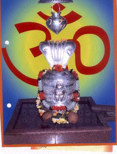 Pushing the trustees of Someshwar temple | सोमेश्वर देवस्थानमधील विश्वस्तांना धक्का