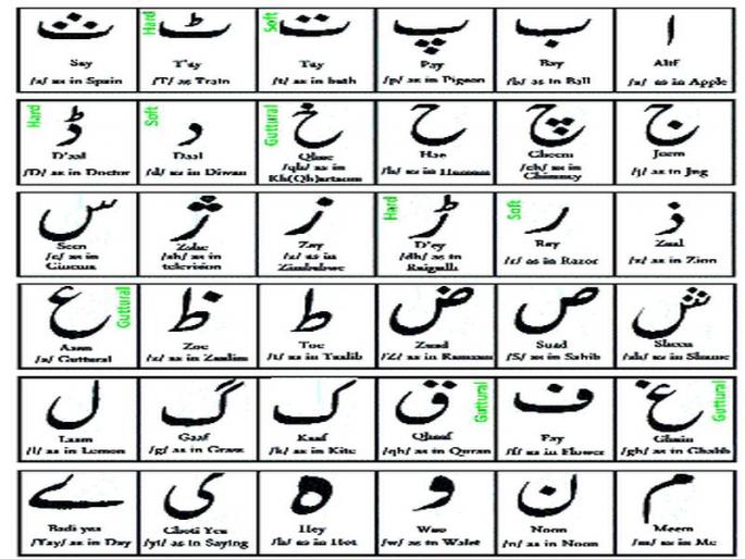 9 4 percent result: 55 percent of the candidates in the diploma course have passed the Urdu Urdu Language | ९४ टक्के निकाल :पदविका अभ्यासक्रमात ५५ परीक्षार्थी उत्तीर्ण उर्दू शिकण्याकडे बिगर उर्दू भाषिकांचा कल