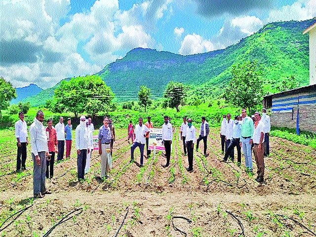 Commencement of Agriculture Revitalization Week at Warshi | वार्शी येथे कृषी संजीवनी सप्ताहाचा प्रारंभ