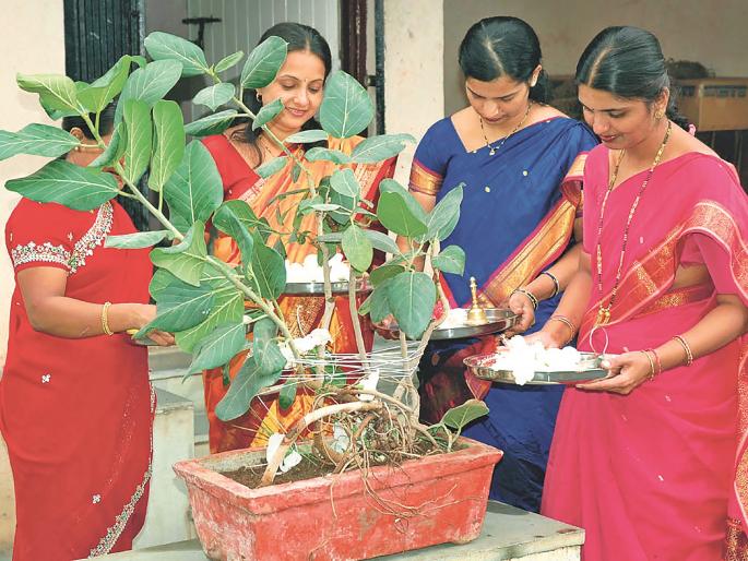 Worship can also be done during lunar eclipses | चंद्रग्रहणातही करता येईल वटपूजन Worship can also be done during lunar eclipses | चंद्रग्रहणातही करता येईल वटपूजन