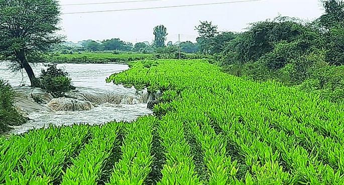 10 villages not contacted due to floods | पैनगंगेच्या पुरामुळे तुटला १० गावांचा संपर्क! 10 villages not contacted due to floods | पैनगंगेच्या पुरामुळे तुटला १० गावांचा संपर्क!