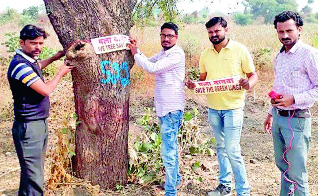 The struggle to save trees in width | रुंदीकरणात झाडं वाचविण्याची धडपड The struggle to save trees in width | रुंदीकरणात झाडं वाचविण्याची धडपड
