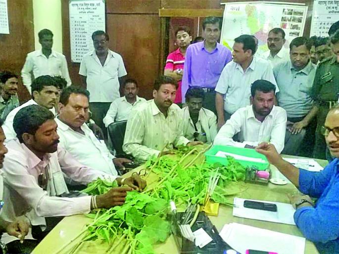 Superintending engineers visit the bishragram tree | अधीक्षक अभियंत्यांना बेशरमचे झाड भेट Superintending engineers visit the bishragram tree | अधीक्षक अभियंत्यांना बेशरमचे झाड भेट