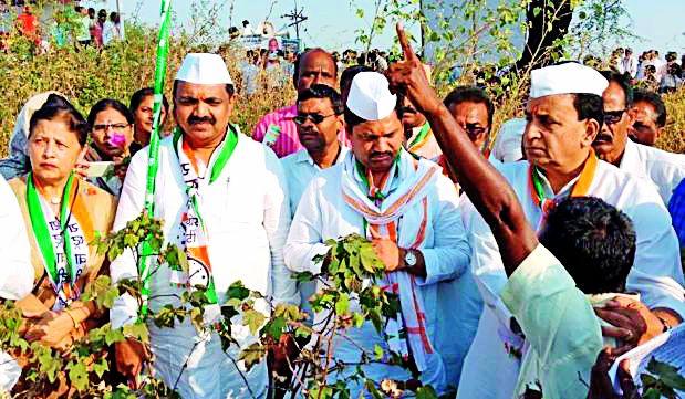 Cotton is lit up in front of leaders | राकाँ नेत्यांसमोर पेटविला कापूस Cotton is lit up in front of leaders | राकाँ नेत्यांसमोर पेटविला कापूस