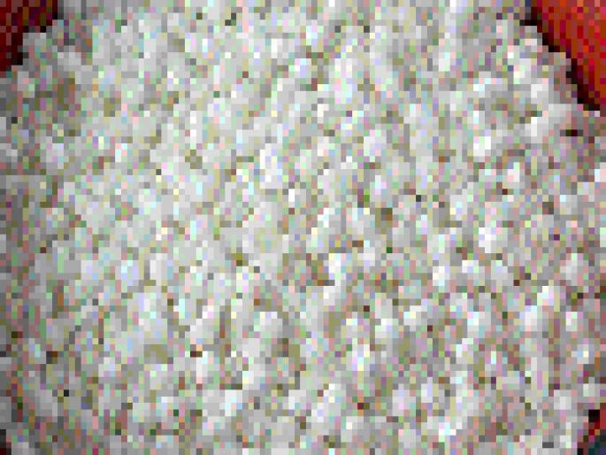 Fasting becomes expensive in Shravan; Bhagar, sabudana and groundnut increased by Rs 5 per kg | श्रावणात उपवास महागला; भगर, साबुदाणा, शेंगदाणा १५ रुपये किलोने वाढले Fasting becomes expensive in Shravan; Bhagar, sabudana and groundnut increased by Rs 5 per kg | श्रावणात उपवास महागला; भगर, साबुदाणा, शेंगदाणा १५ रुपये किलोने वाढले