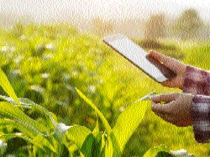 There will be a survey of the crops through the 'Farmer Mahmadat App' | पिकांचे सर्वेक्षण होणार ‘शेतकरी महामदत अॅप’च्या माध्यमातून There will be a survey of the crops through the 'Farmer Mahmadat App' | पिकांचे सर्वेक्षण होणार ‘शेतकरी महामदत अॅप’च्या माध्यमातून