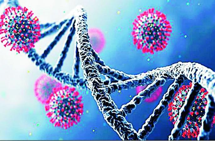 The risk is increasing; Corona to 11 people | धोका वाढतोय; 11 जणांना कोरोना