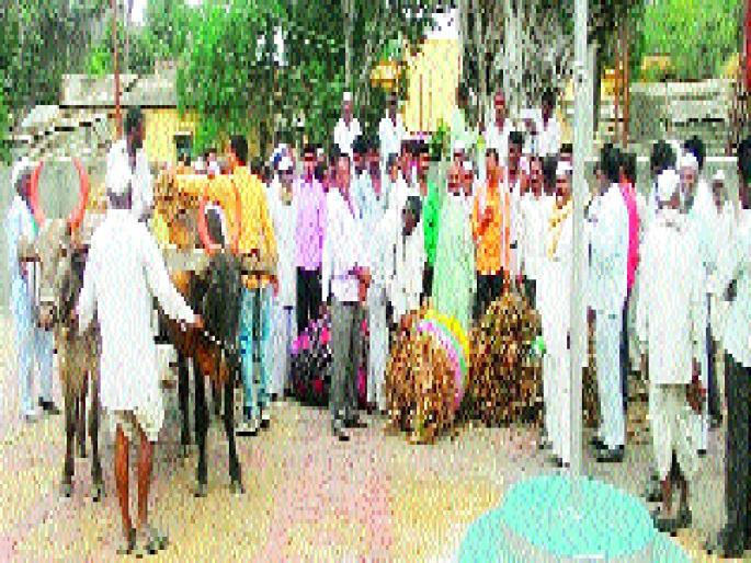 Before sowing soybeans in front of Patoda tehsil | पाटोदा तहसीलसमोर सोयाबीनचे खळे करीत दाखविला उतारा Before sowing soybeans in front of Patoda tehsil | पाटोदा तहसीलसमोर सोयाबीनचे खळे करीत दाखविला उतारा