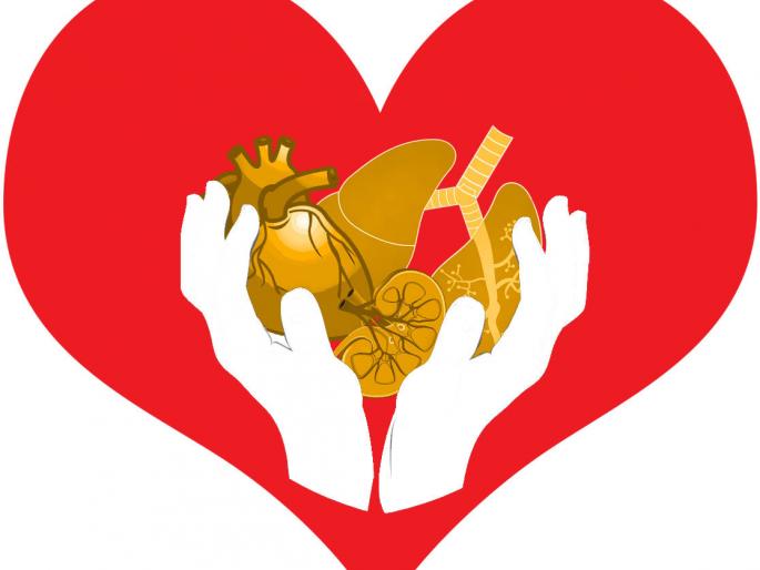 'Brain deed' person gives lives to three; Liver transplant in Mumbai, kidney transplant in Nagpur | भंडाऱ्यातील ‘ब्रेनडेड’व्यक्तीकडून तिघांना जीवनदान; लिव्हर पाठवले मुंबईला तर किडनी प्रत्यारोपण झाले नागपुरात 'Brain deed' person gives lives to three; Liver transplant in Mumbai, kidney transplant in Nagpur | भंडाऱ्यातील ‘ब्रेनडेड’व्यक्तीकडून तिघांना जीवनदान; लिव्हर पाठवले मुंबईला तर किडनी प्रत्यारोपण झाले नागपुरात