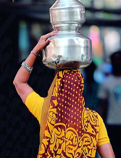 Possibility of drought in Vidarbha | विदर्भात दुष्काळाचे सावट Possibility of drought in Vidarbha | विदर्भात दुष्काळाचे सावट