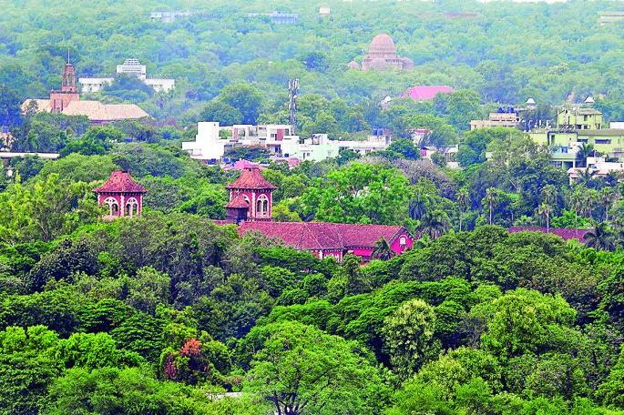 Environment Day Special; In 20 years, greenery in the sub capital has declined by 33% | पर्यावरण दिन विशेष; २० वर्षांत उपराजधानीतील हिरवळ ३३ टक्क्याने घटली