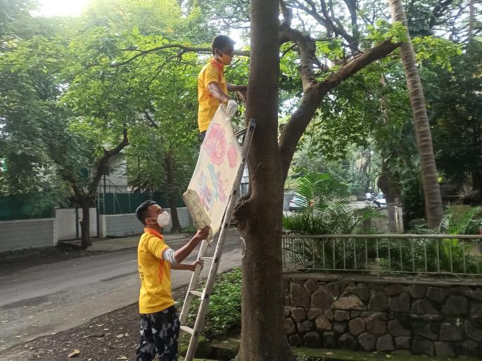 Two kilos of nails and 100 boards removed from the trees | झाडांमधून काढले दोन किलो खिळे अन् १०० बोर्ड Two kilos of nails and 100 boards removed from the trees | झाडांमधून काढले दोन किलो खिळे अन् १०० बोर्ड