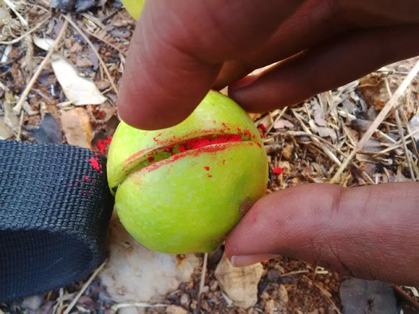 Turmeric lemons are found at the door of Anganwadi Center! Parents refuse to take nutritious food | अंगणवाडी केंद्राच्या दारात आढळत आहेत हळदीकुंकू लावलेली लिंबे! पालकांचा पोषण आहार नेण्यास नकार Turmeric lemons are found at the door of Anganwadi Center! Parents refuse to take nutritious food | अंगणवाडी केंद्राच्या दारात आढळत आहेत हळदीकुंकू लावलेली लिंबे! पालकांचा पोषण आहार नेण्यास नकार