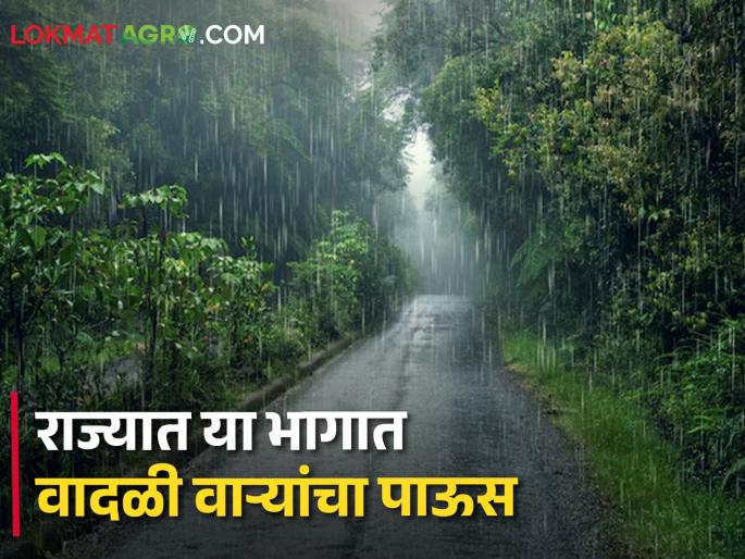 Weather Maharashtra: Stormy rain with thunder in these areas, which districts are alerted? | Maharashtra Weather News : या भागात ढगांच्या गडगडाटासह वादळी पाऊस, कोणत्या जिल्ह्यांना कुठला अलर्ट? Weather Maharashtra: Stormy rain with thunder in these areas, which districts are alerted? | Maharashtra Weather News : या भागात ढगांच्या गडगडाटासह वादळी पाऊस, कोणत्या जिल्ह्यांना कुठला अलर्ट?