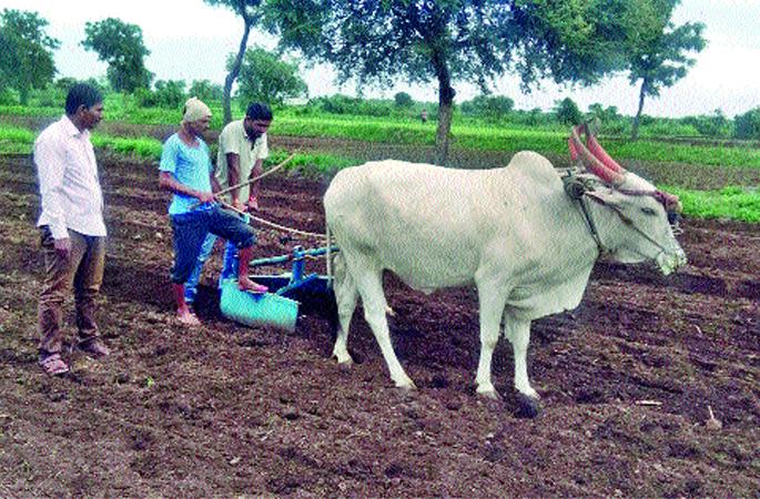 jaoradaara-paavasaaabhaavai-kaandaa-laagavada-rakhadalai | जोरदार पावसाअभावी कांदा लागवड रखडली