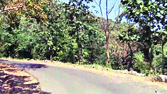 Due to cemented four-laning, the forest area of ​​Melghat will be covered | सिमेंट चौपदरीकरणामुळे मेळघाटचे वनक्षेत्र पोखरणार