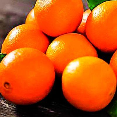 Orange processing projects are not needed | संत्रा प्रक्रिया प्रकल्प गरजेचा Orange processing projects are not needed | संत्रा प्रक्रिया प्रकल्प गरजेचा