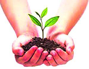 Welcome to the birth of baby now by planting | बाळाच्या जन्माचे स्वागत आता रोपट्याने Welcome to the birth of baby now by planting | बाळाच्या जन्माचे स्वागत आता रोपट्याने