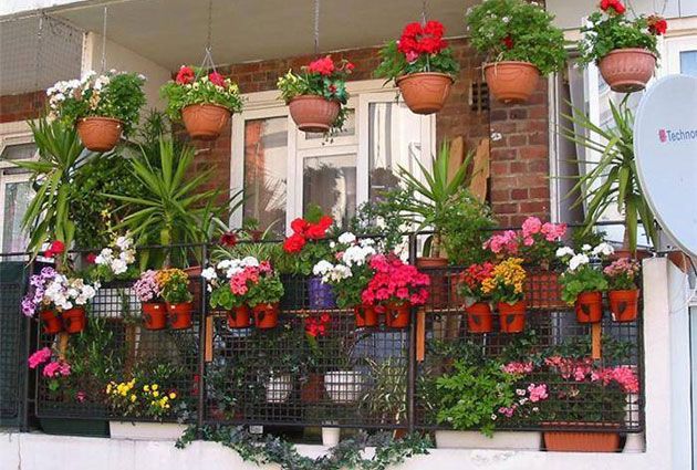 Waste management should be given to the garbage management | कचरा व्यवस्थापनाला द्यावी परसबागेची जोड  Waste management should be given to the garbage management | कचरा व्यवस्थापनाला द्यावी परसबागेची जोड