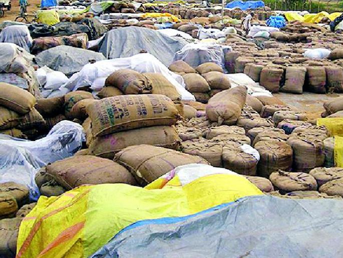 Looting of farmers at the paddy shopping center in Pardi | पारडीतील धान खरेदी केंद्रावर शेतकऱ्यांची लूट Looting of farmers at the paddy shopping center in Pardi | पारडीतील धान खरेदी केंद्रावर शेतकऱ्यांची लूट